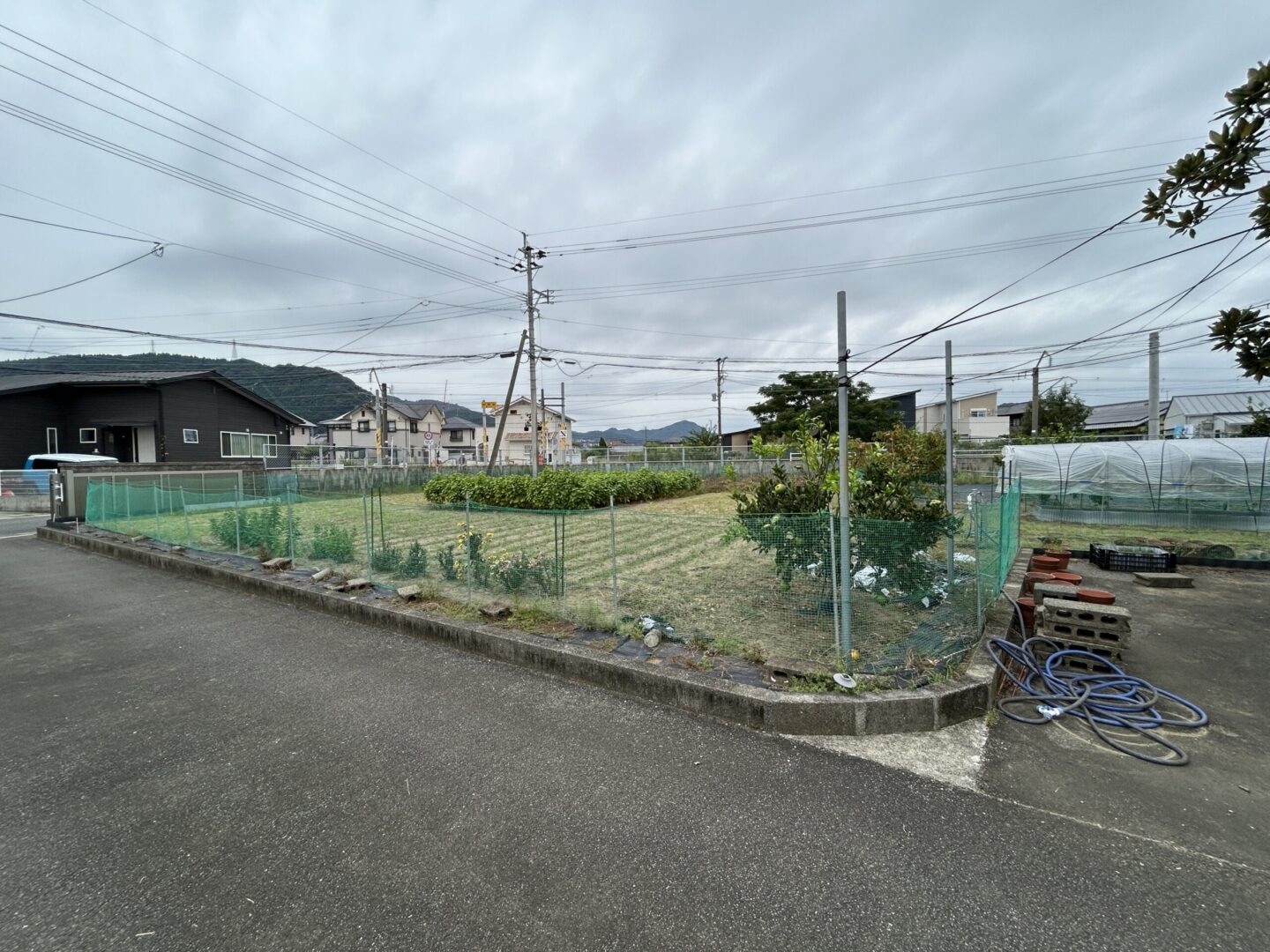 日向市｜財光寺丸池②